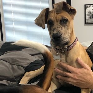 Meet your Posher, Krystal